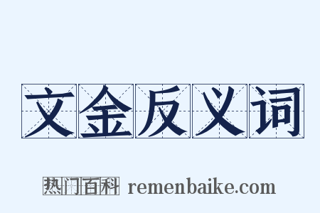 文金反义词是什么意思的图片